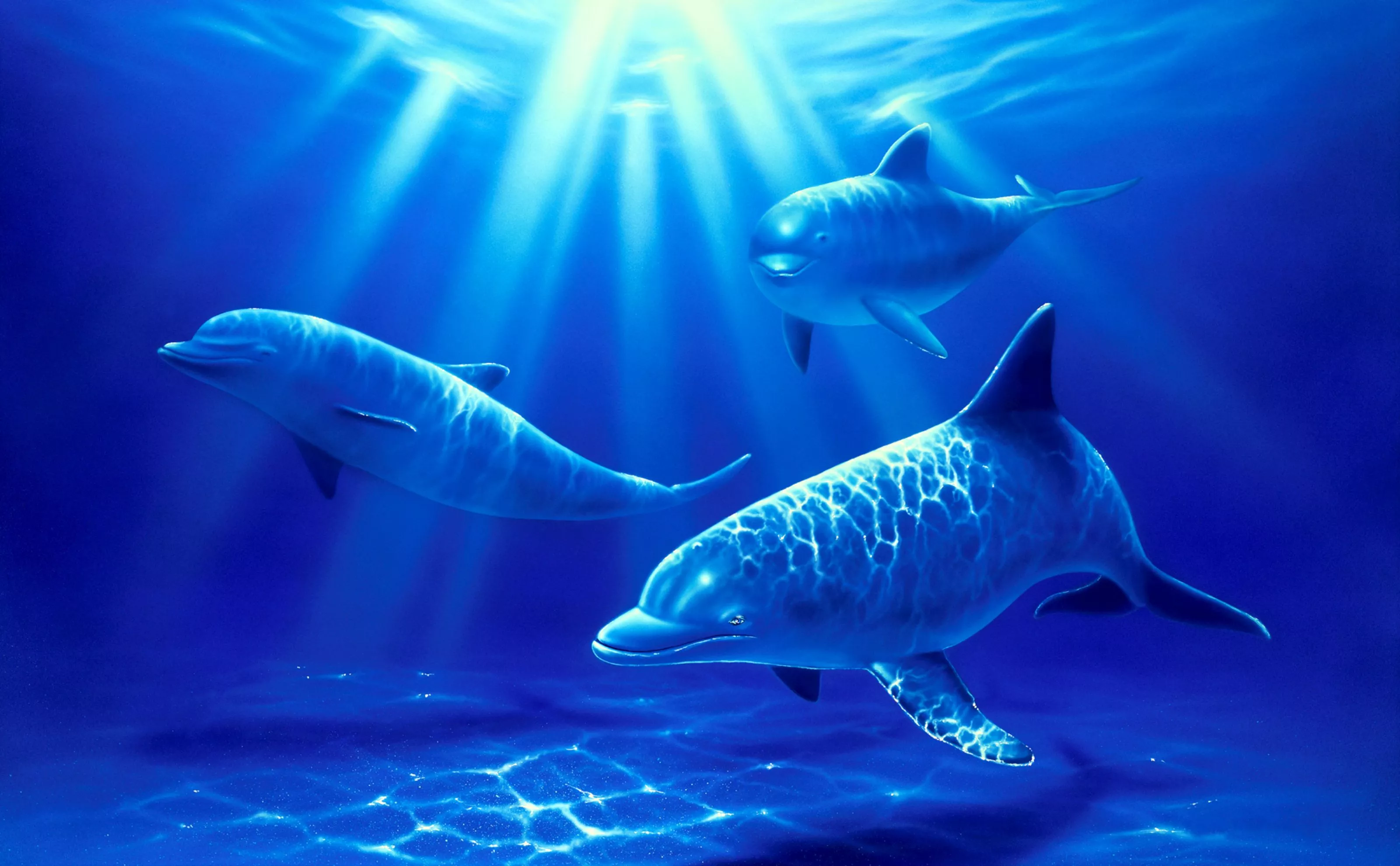 Dolphin Paradise Mural Wilkie