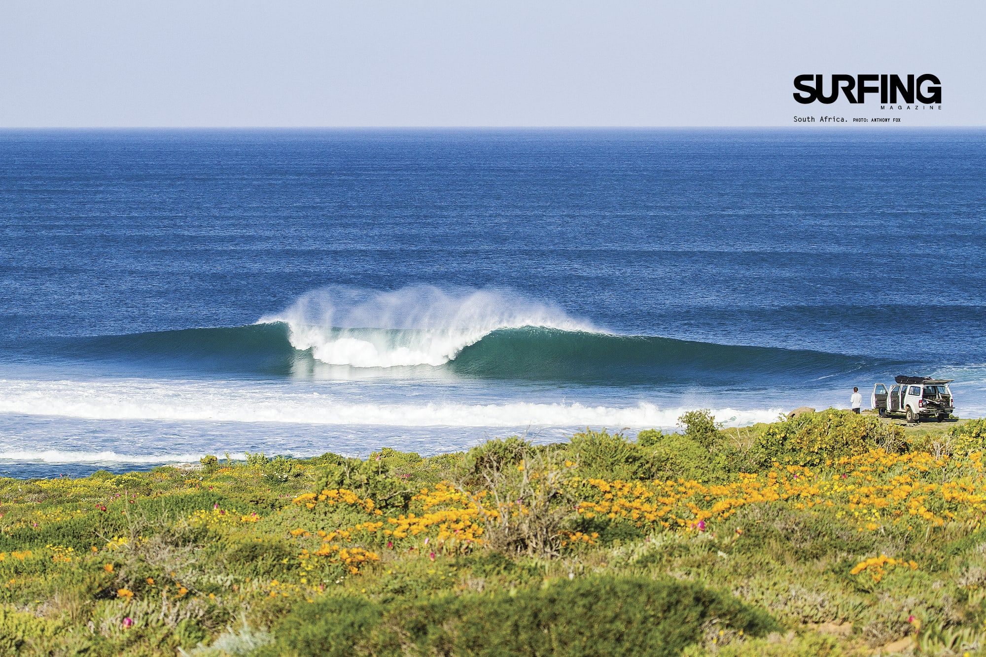 SURFING Wallpaper