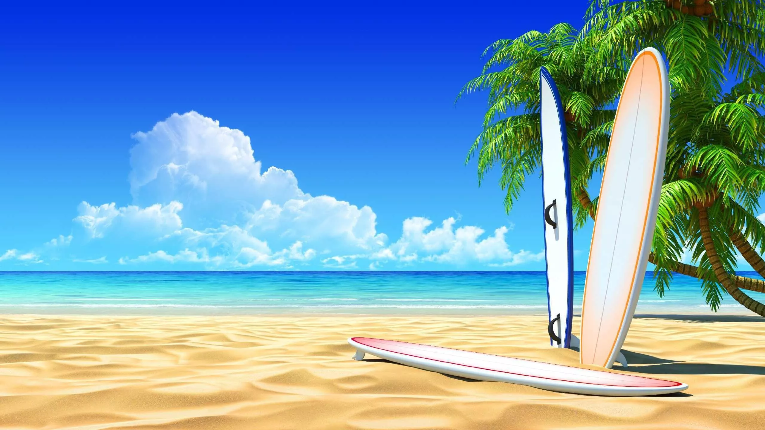 beach surfing board