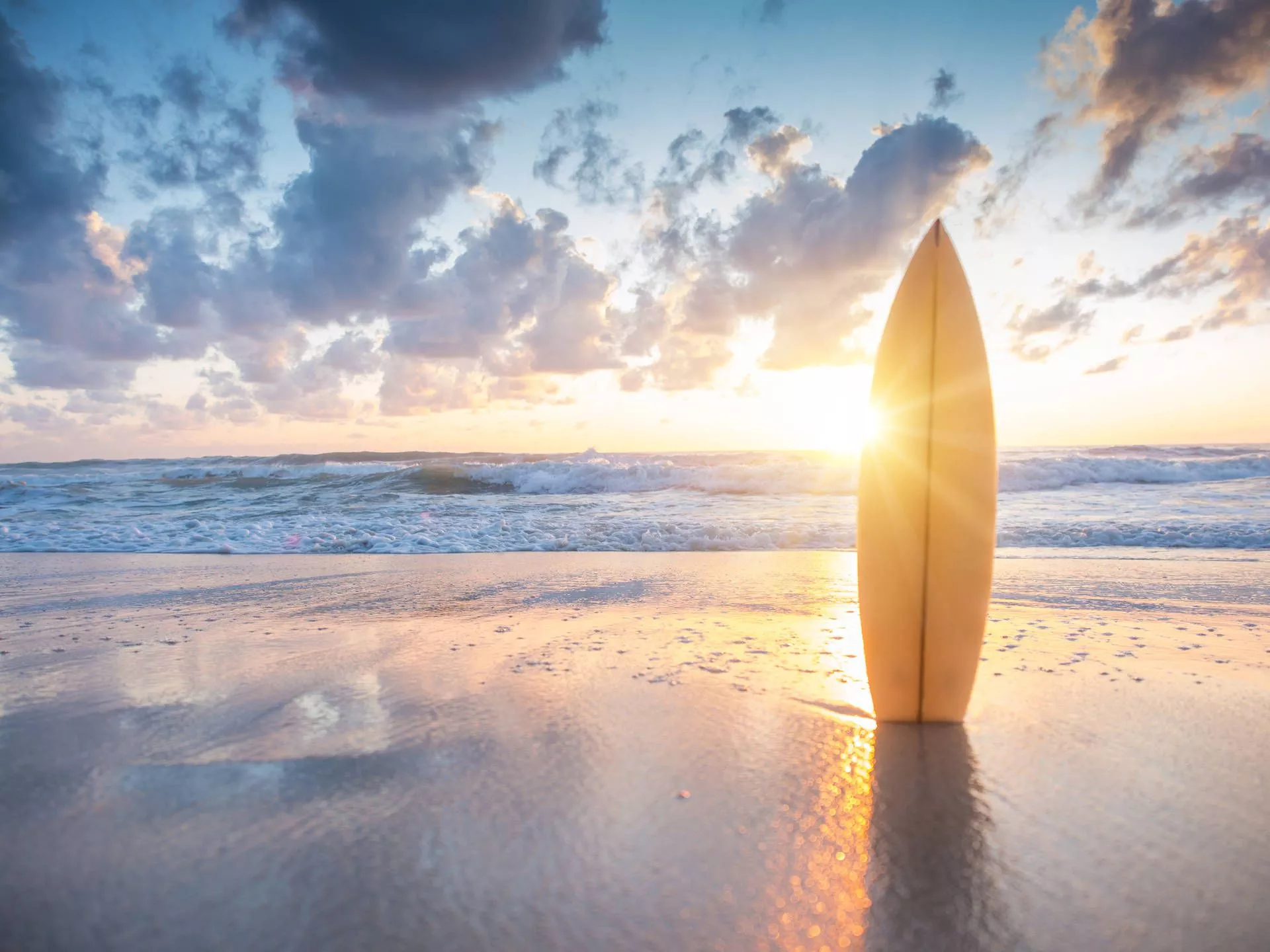 Sydney Bondi Surf School Wallpaper