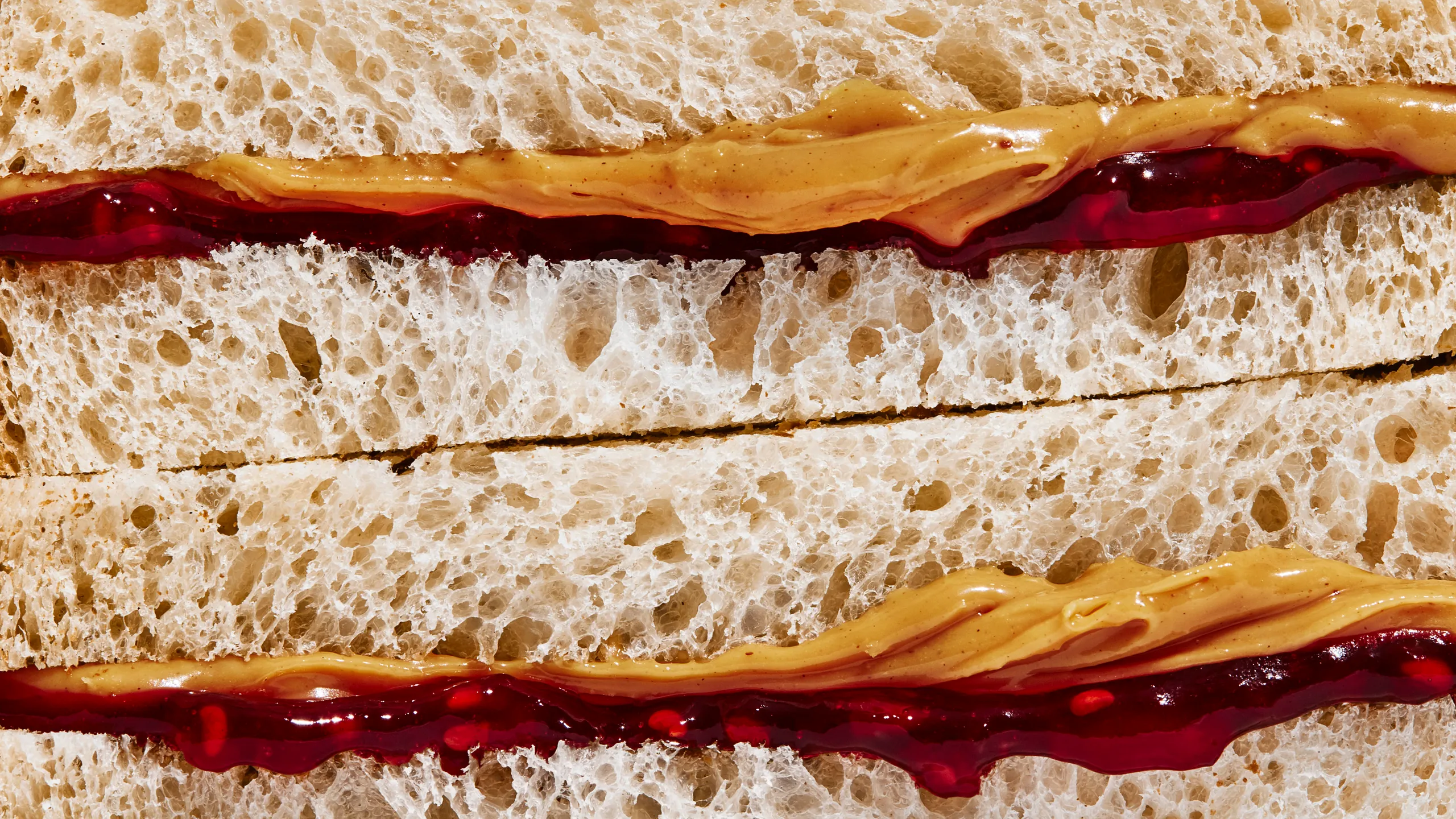 Peanut Butter and Jelly Sandwich