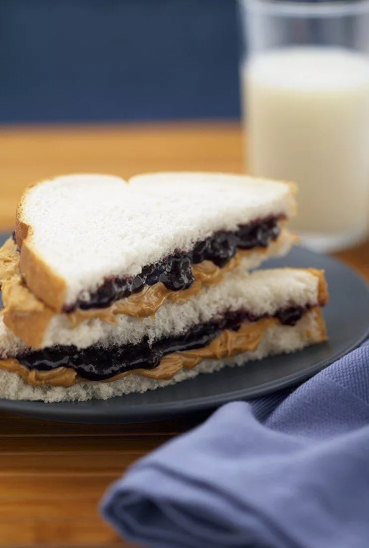 Peanut Butter and Jelly Sandwich Cut
