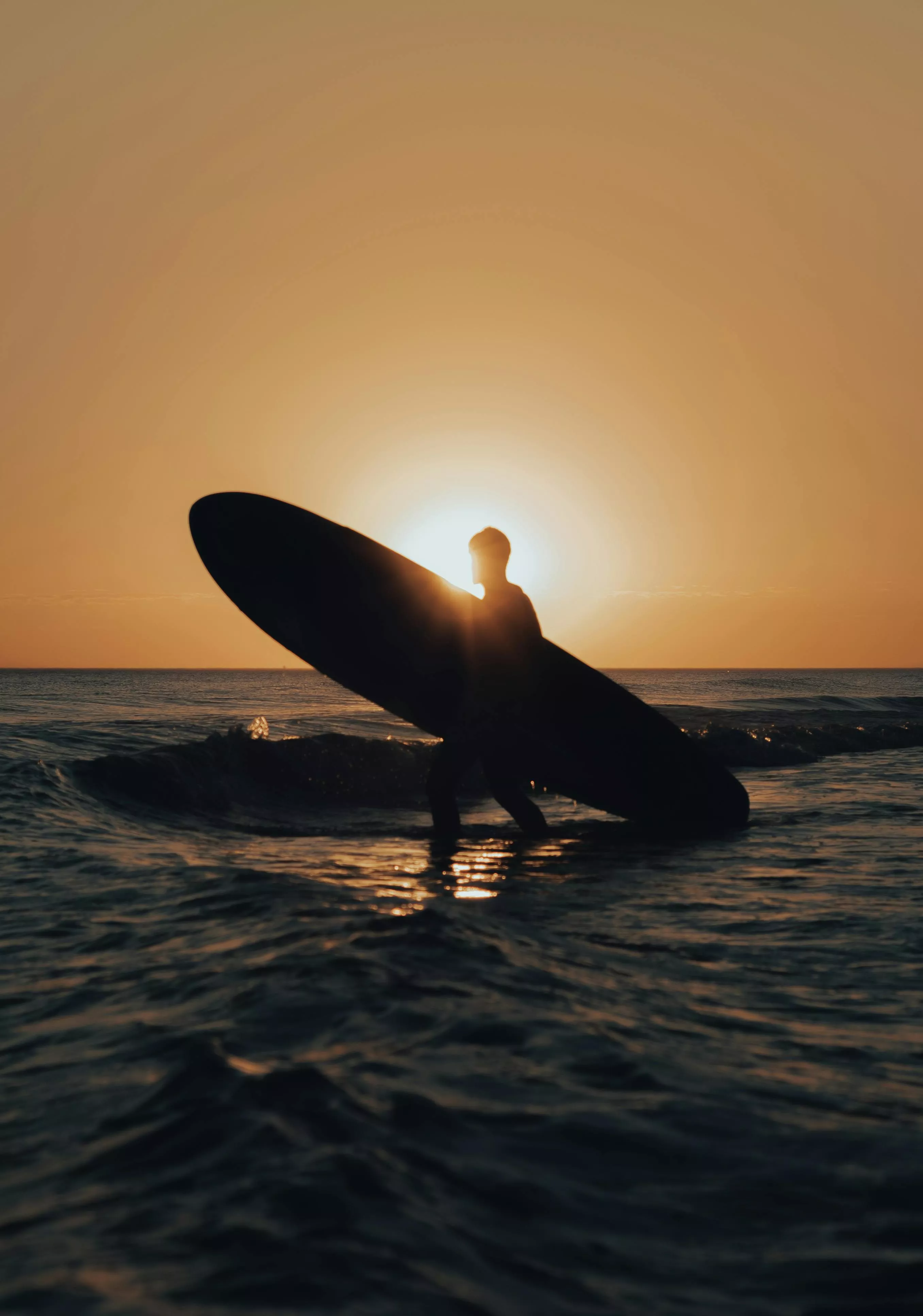 Beach at Sunset · Free