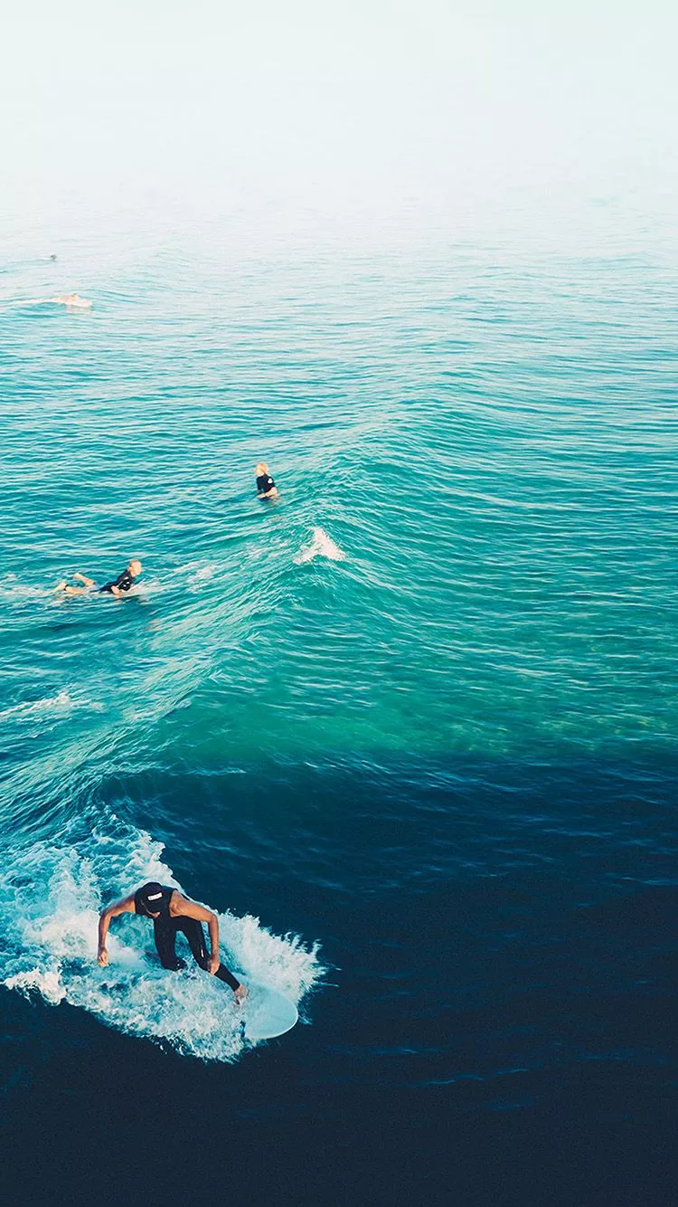 Surfing Wave Summer Sea Ocean Blue