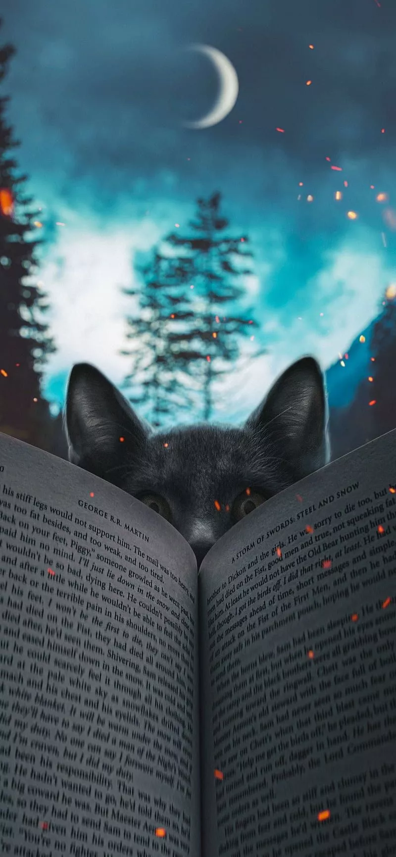 Cat, book, cat, HD phone wallpaper