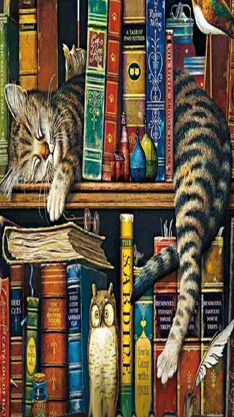HD kitty on a book wallpaper