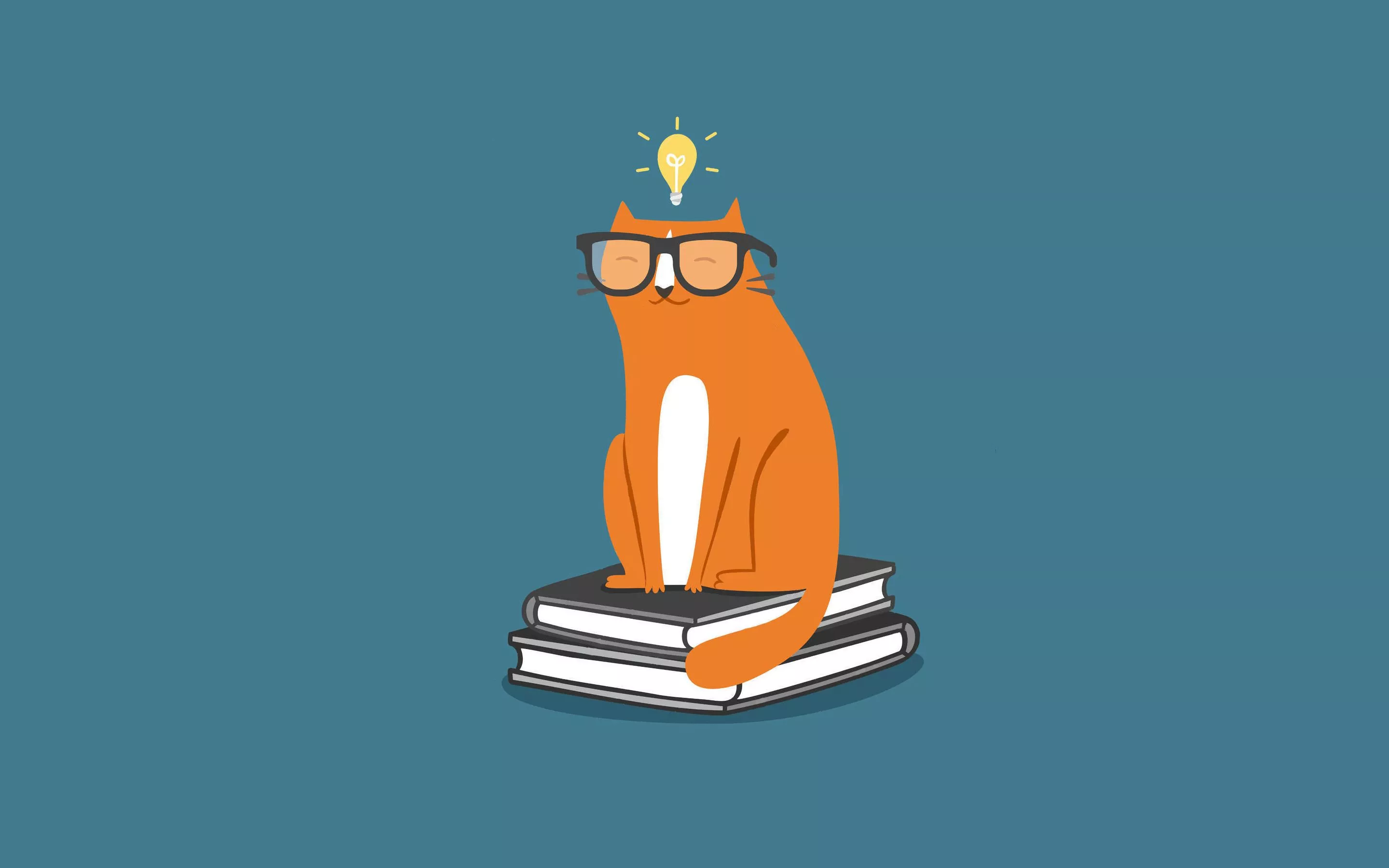 Wallpaper cat, cat, light bulb, books