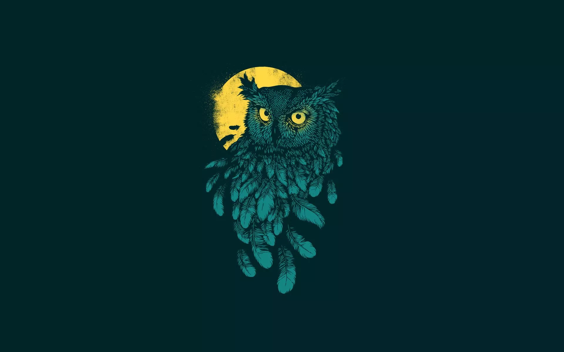 Wallpaper the dark background, owl