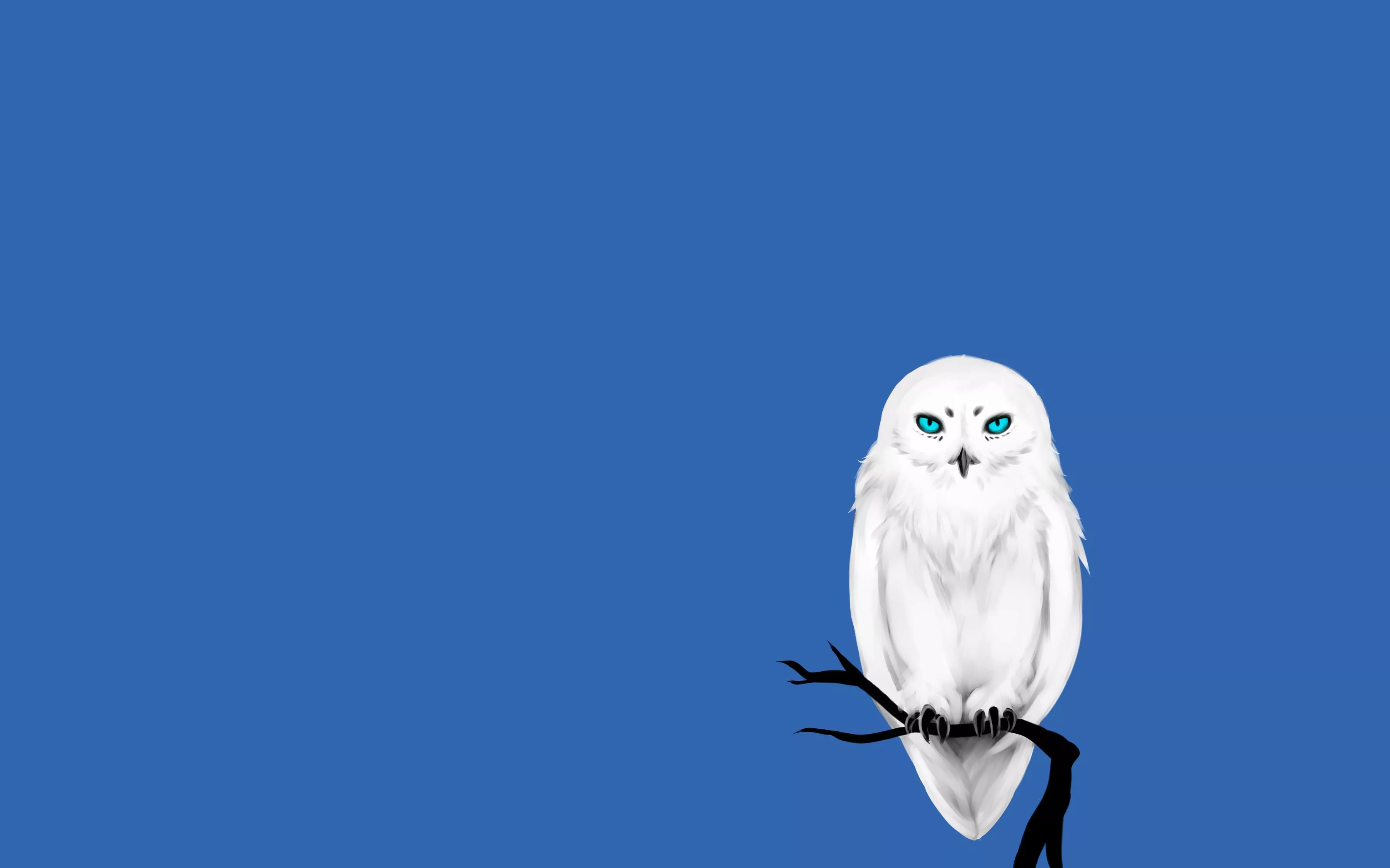 Wallpaper tree, owl, bird, minimalism
