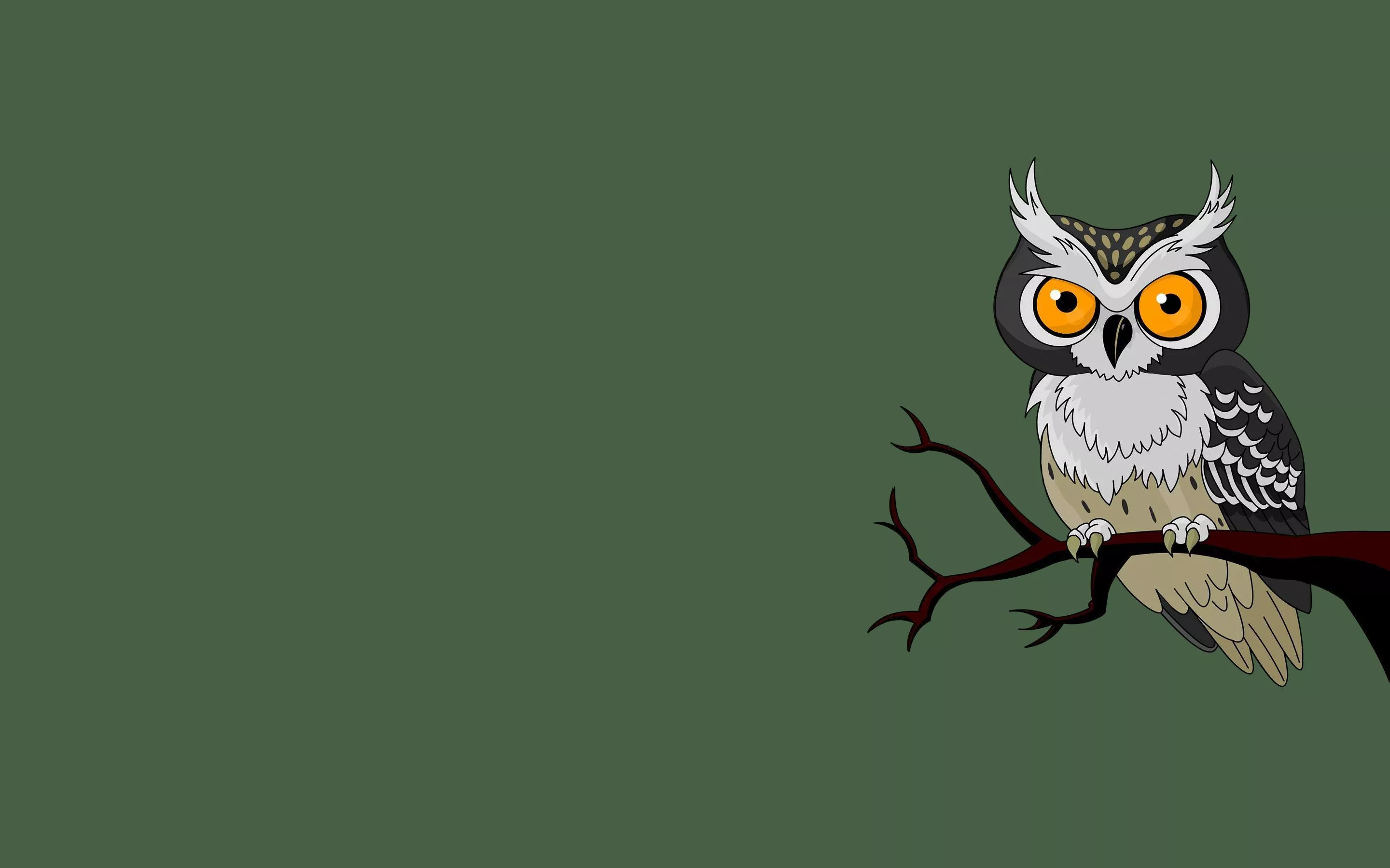 Wallpaper owl, bird, minimalism, branch