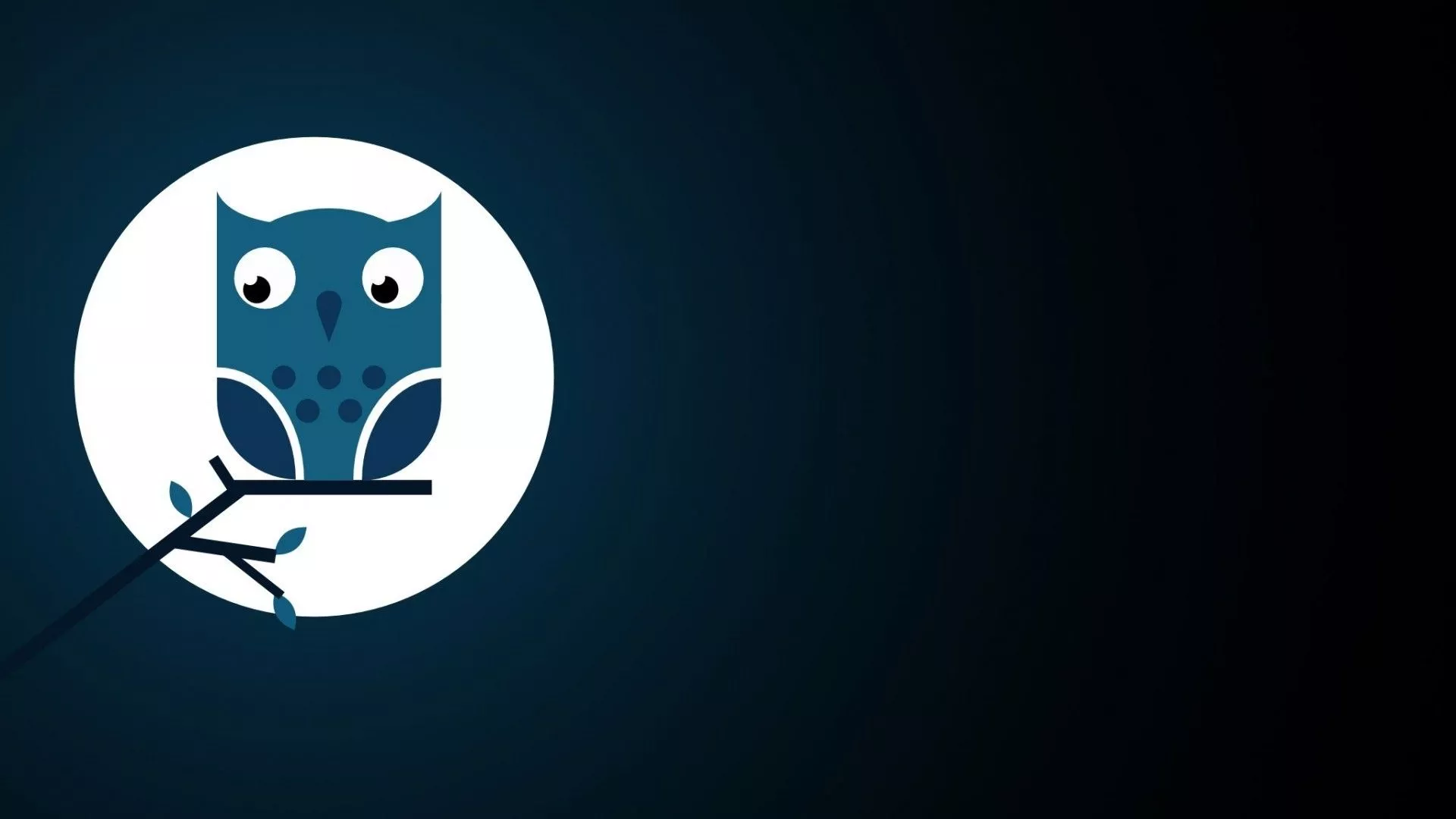 Owl Bird Minimalist Animal Artistic