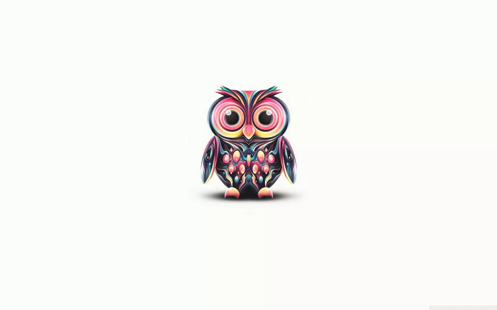Cute Owl Wallpaper