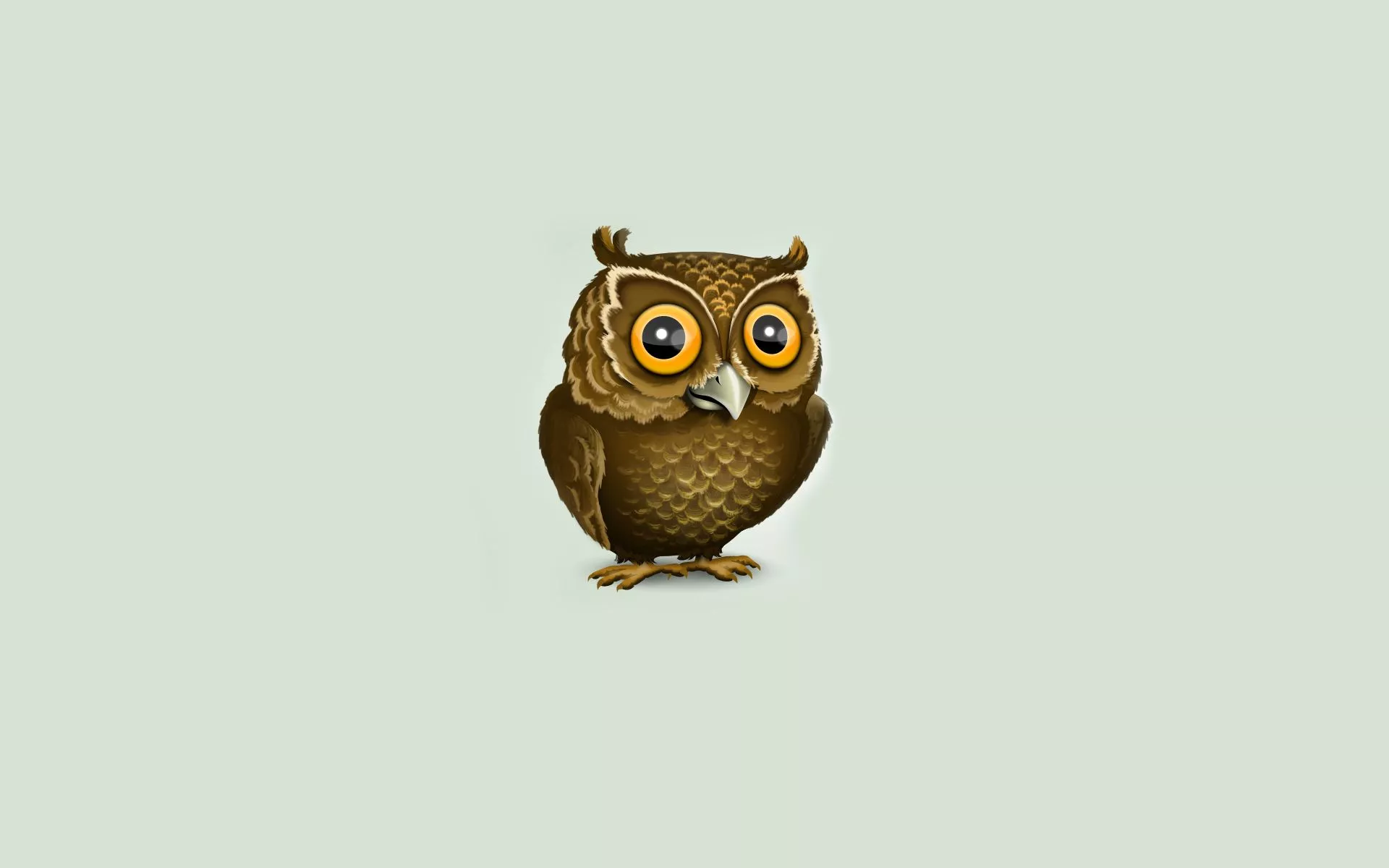 Wallpaper owl, minimalism, owl