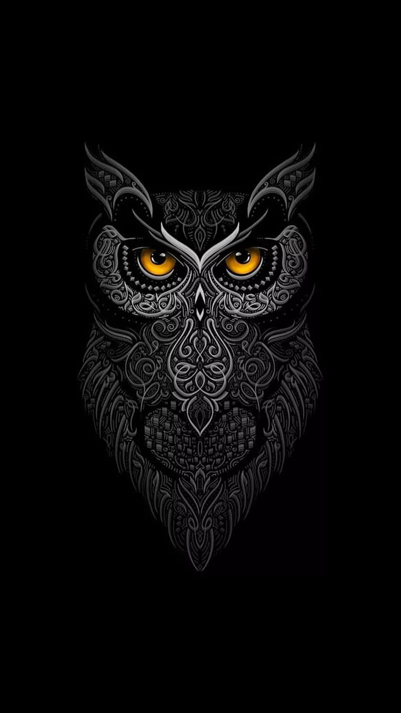 Owl, animal, bird, HD phone wallpaper