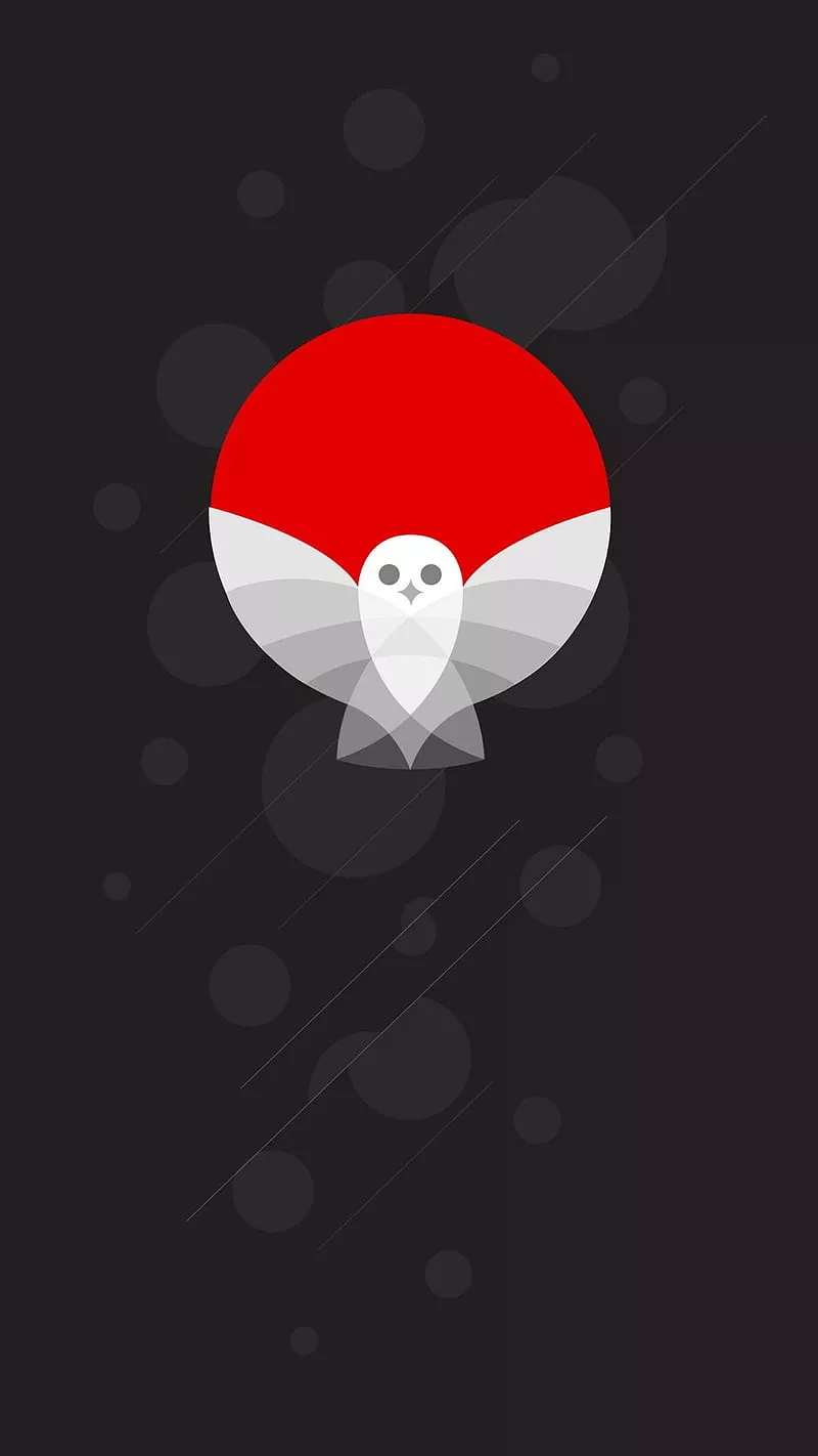 HD owl minimalism wallpaper