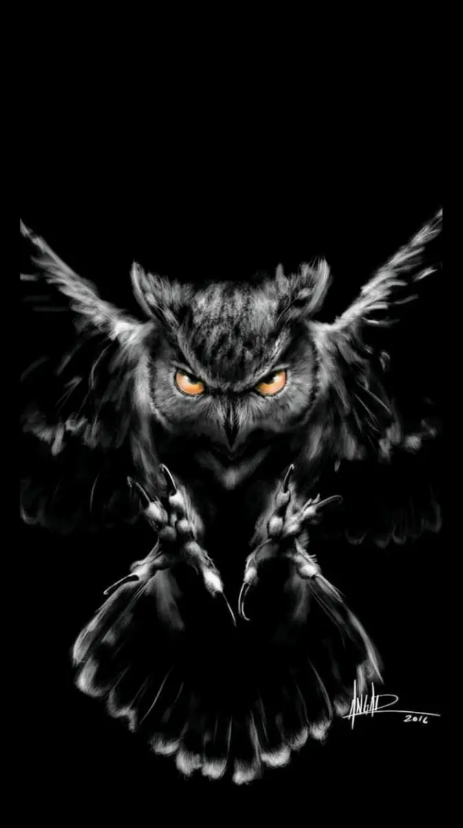 Dark owl wallpaper