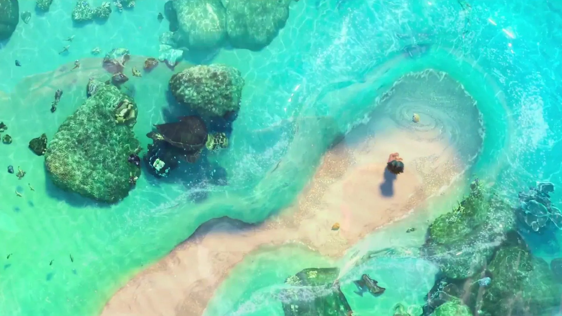 Moana Wallpaper Desktop