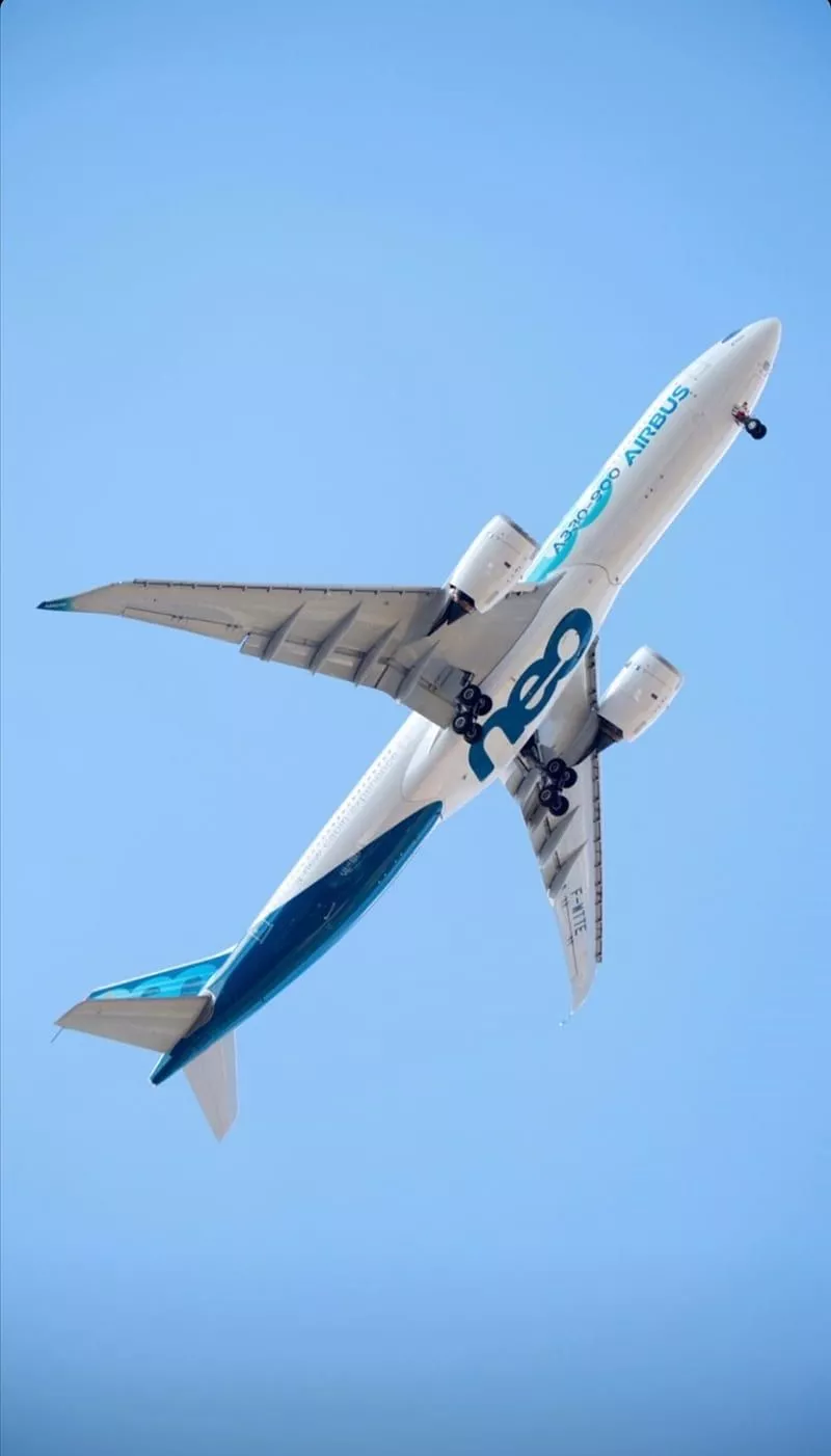 Airbus, aircraft, airplane, aviation, busplusmex, movilbus, planes, HD phone wallpaper