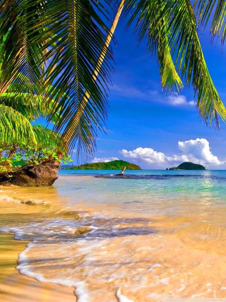 Tropical Beach iPhone Wallpaper Free