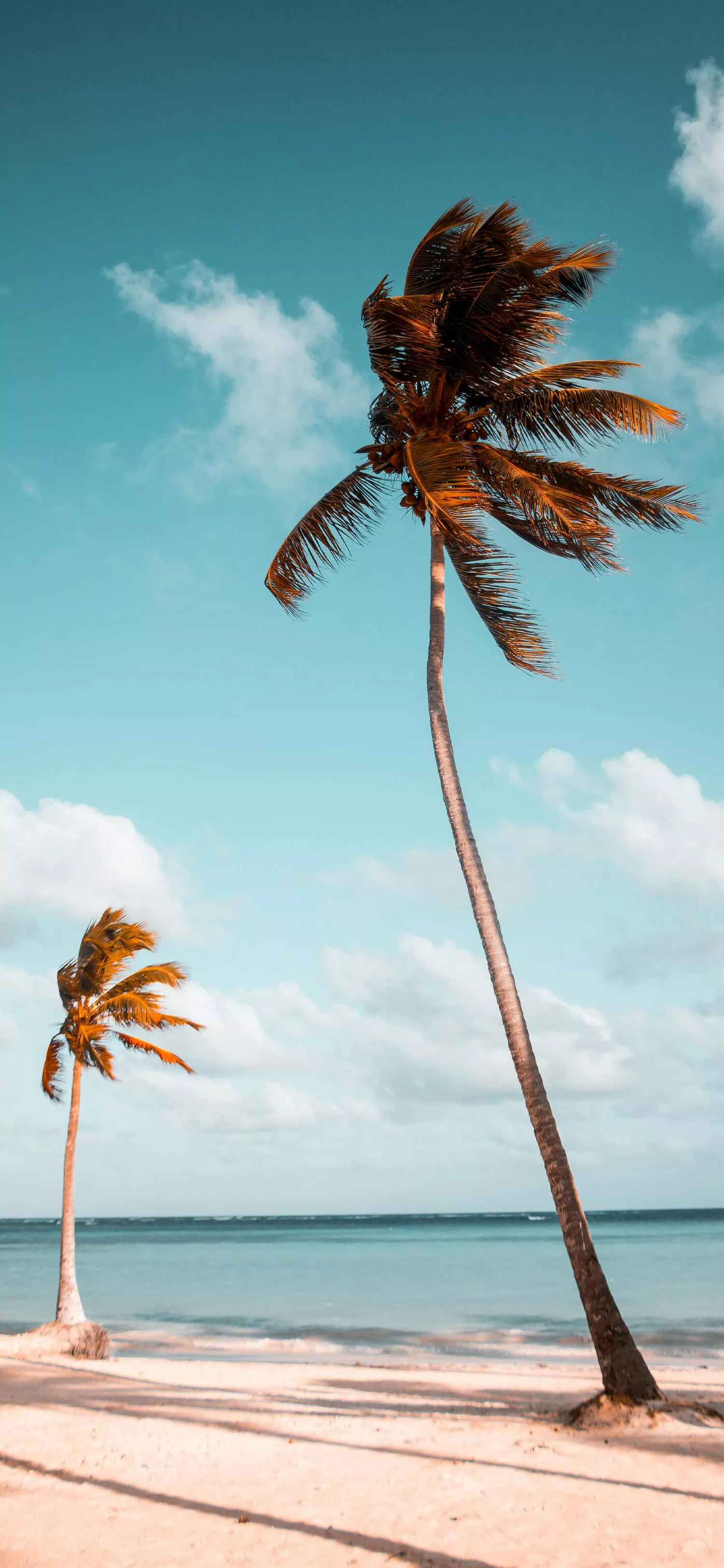 Stunning Beach Wallpaper for iPhone