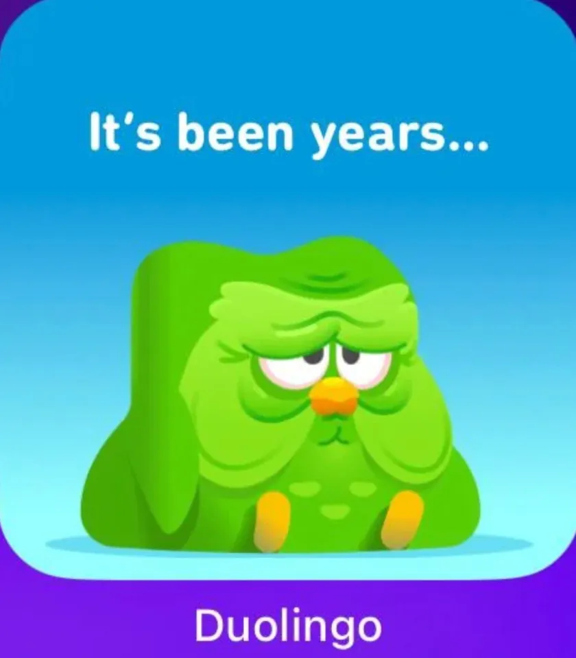 Duolingo fans sickened by 'disgusting