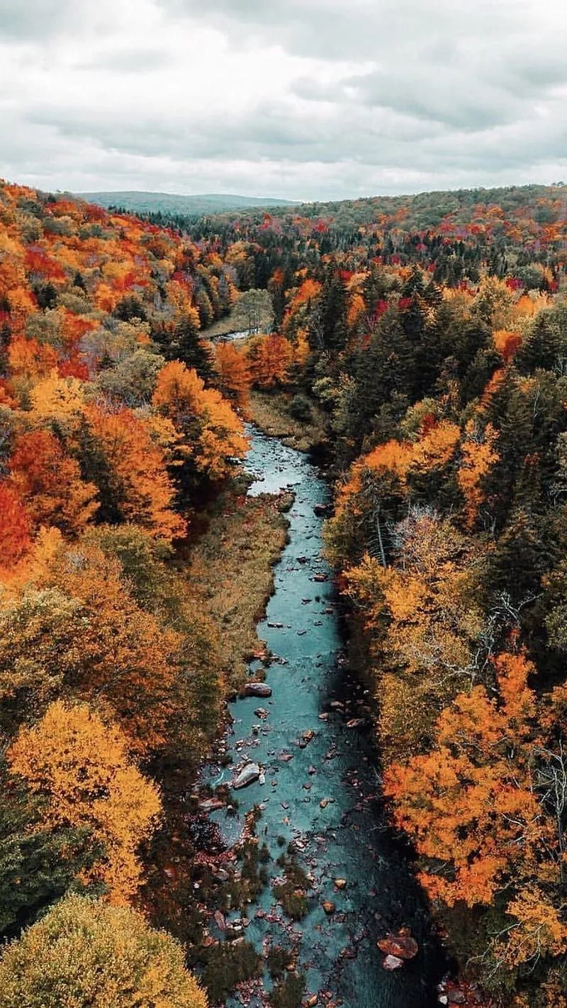 IPhone 11 Autumn, HD phone wallpaper