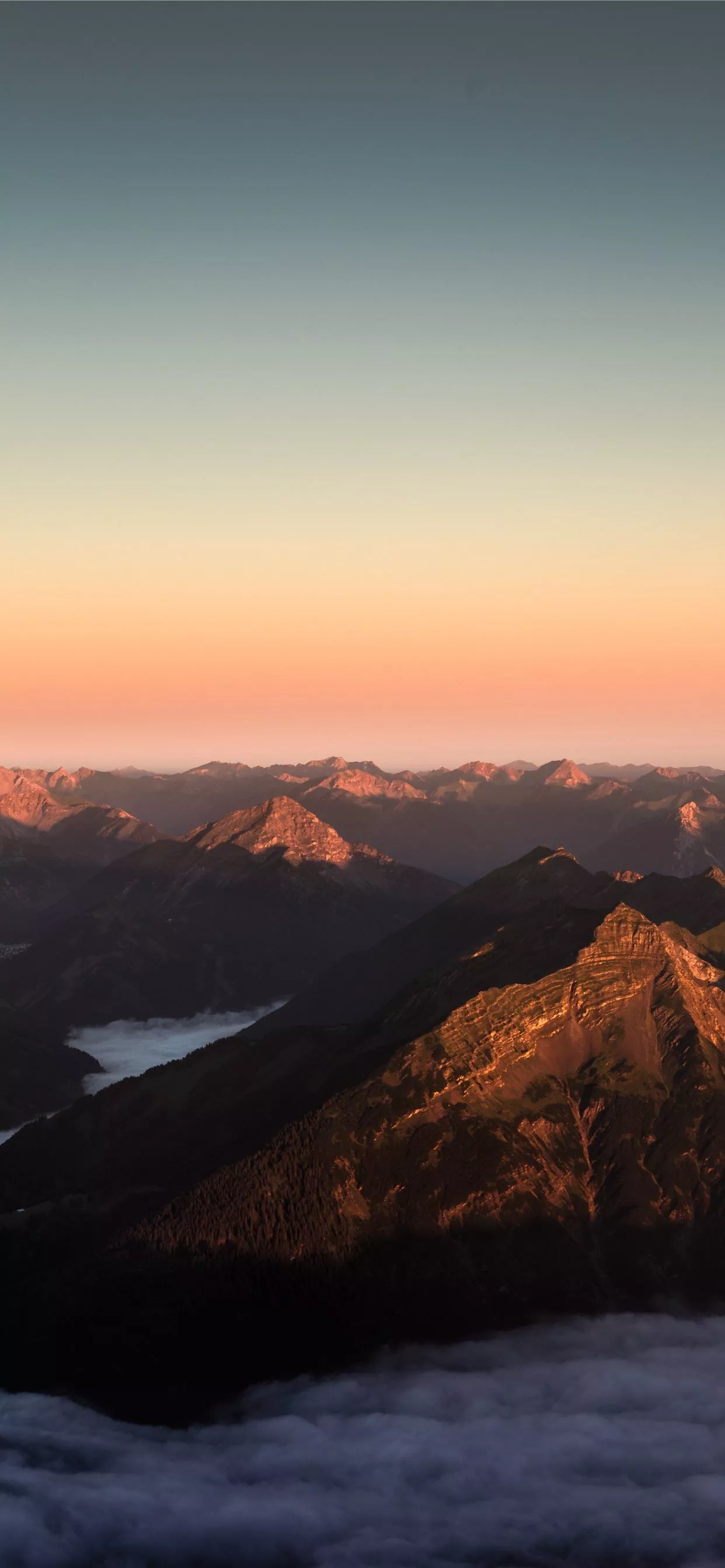 sydney free image iPhone 11 Wallpaper