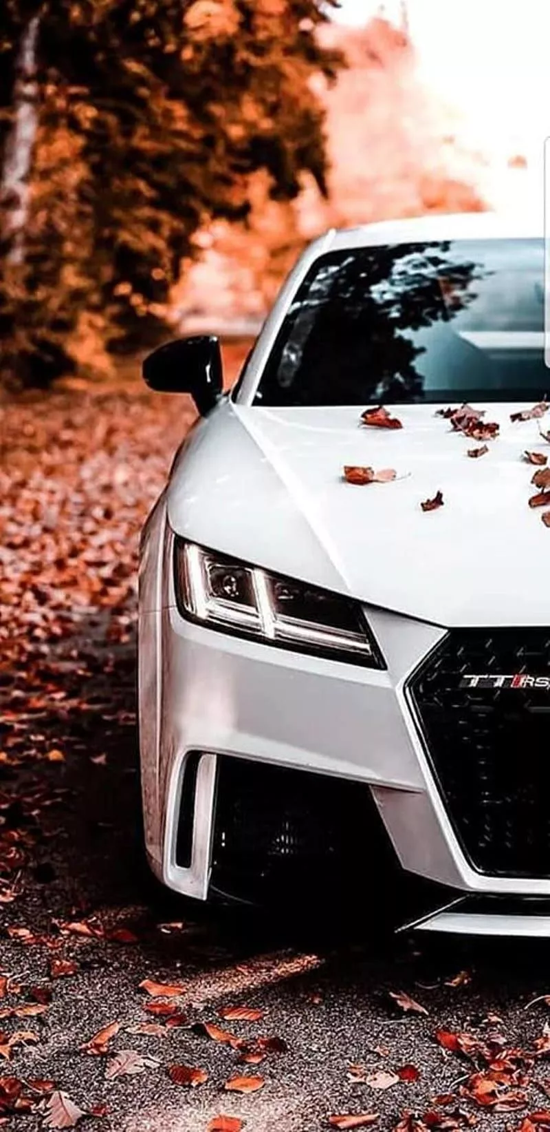 Audi TT Rs, white, car, speed, HD phone