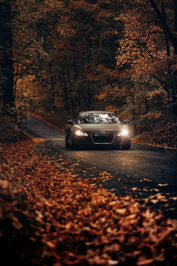 HD wallpaper: audi tt, road, autumn