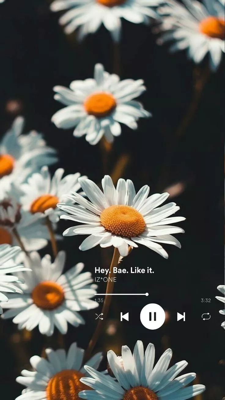 IZ*ONE wallpaper. IZONE wallpaper. IZ