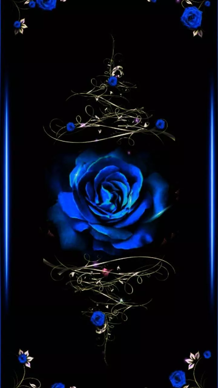 Blue rose wallpaper