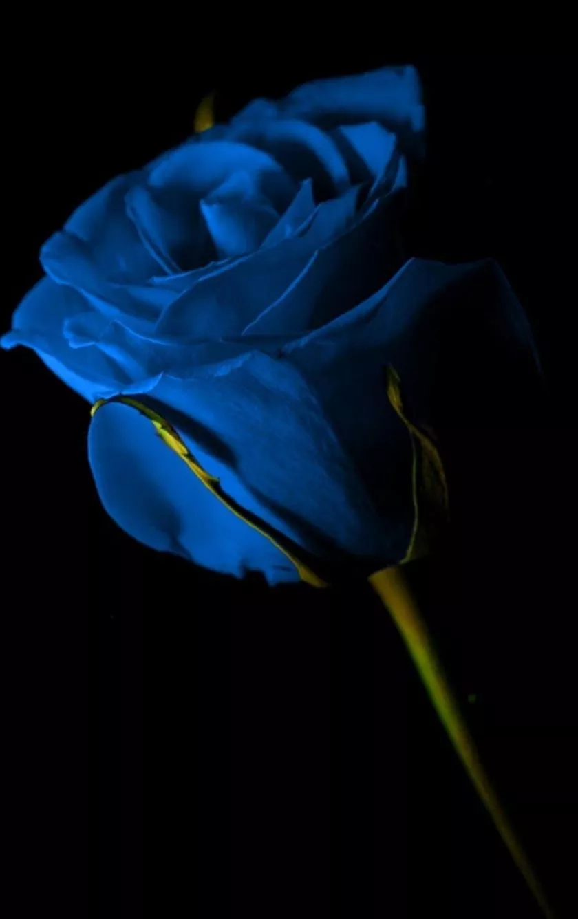 Download wallpaper 840x1336 portrait