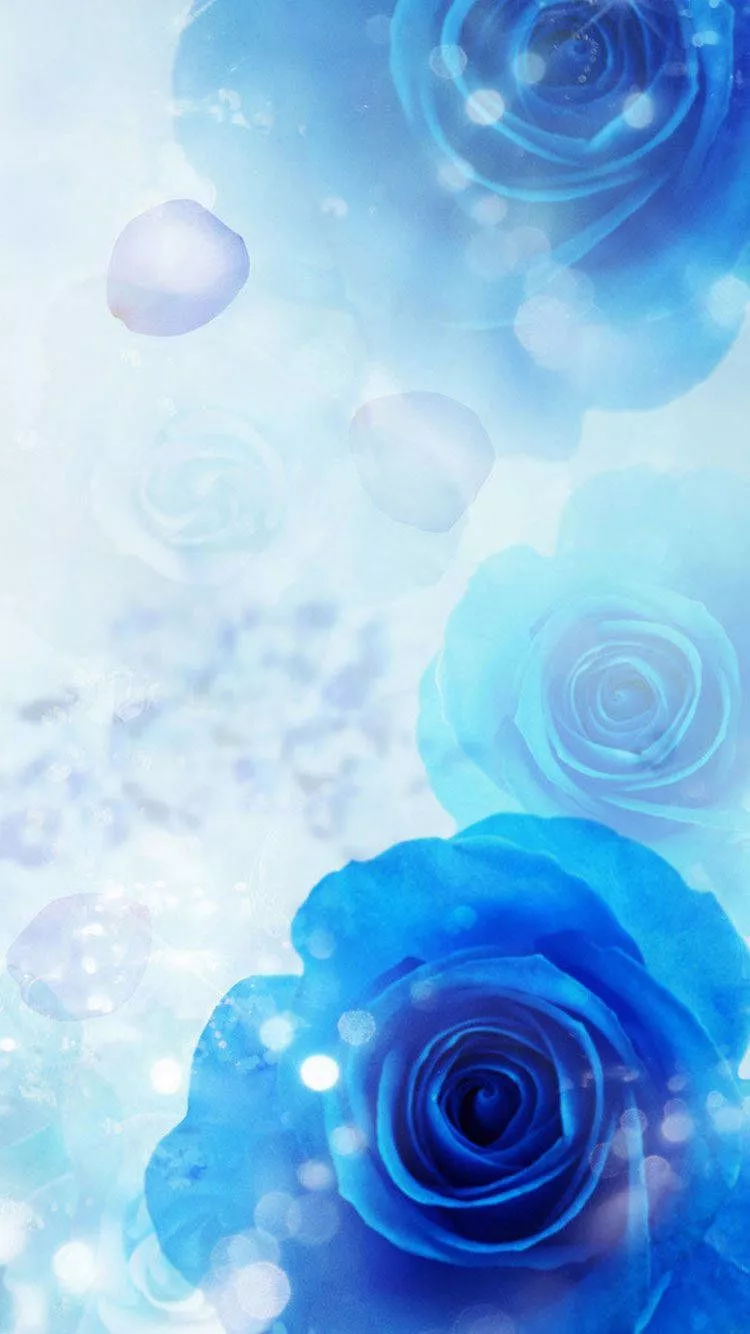 Roses Blue iPhone Wallpaper