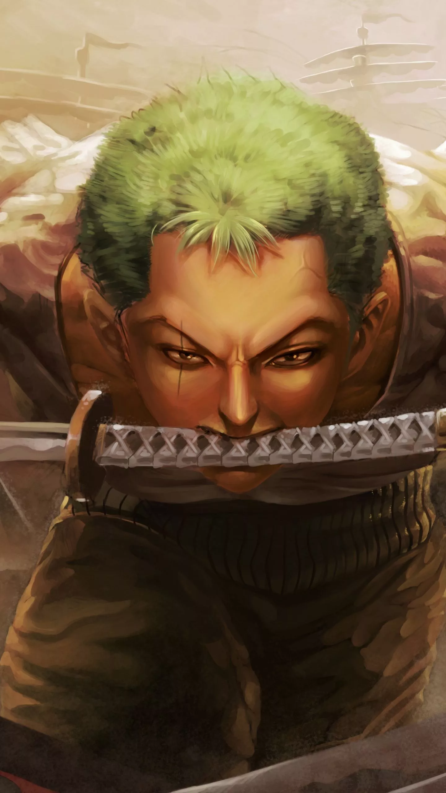 wallpaper 1440x2560 roronoa zoro