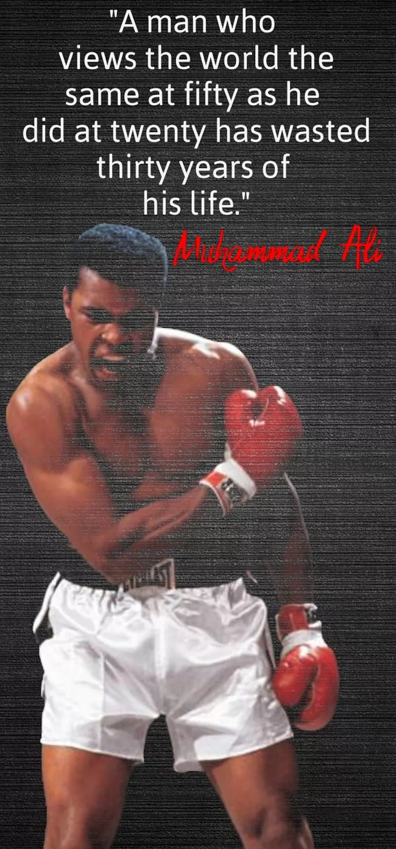 Muhammad Ali, boxer, cassius clay, goat, heavyweight, muhammad ali, HD phone wallpaper