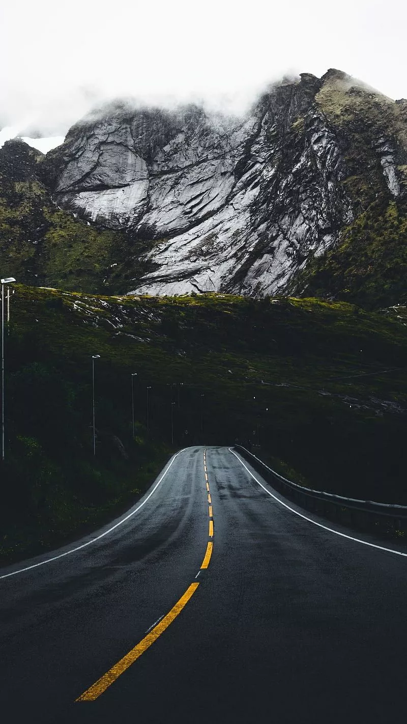 Rainy Street, background, forest