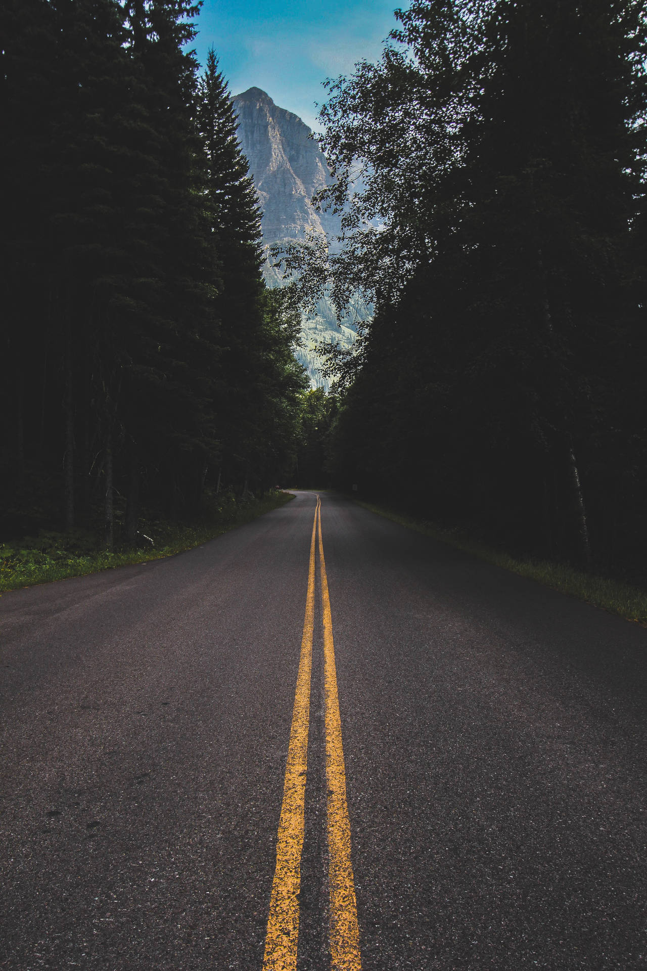 In Montana iPhone Wallpaper