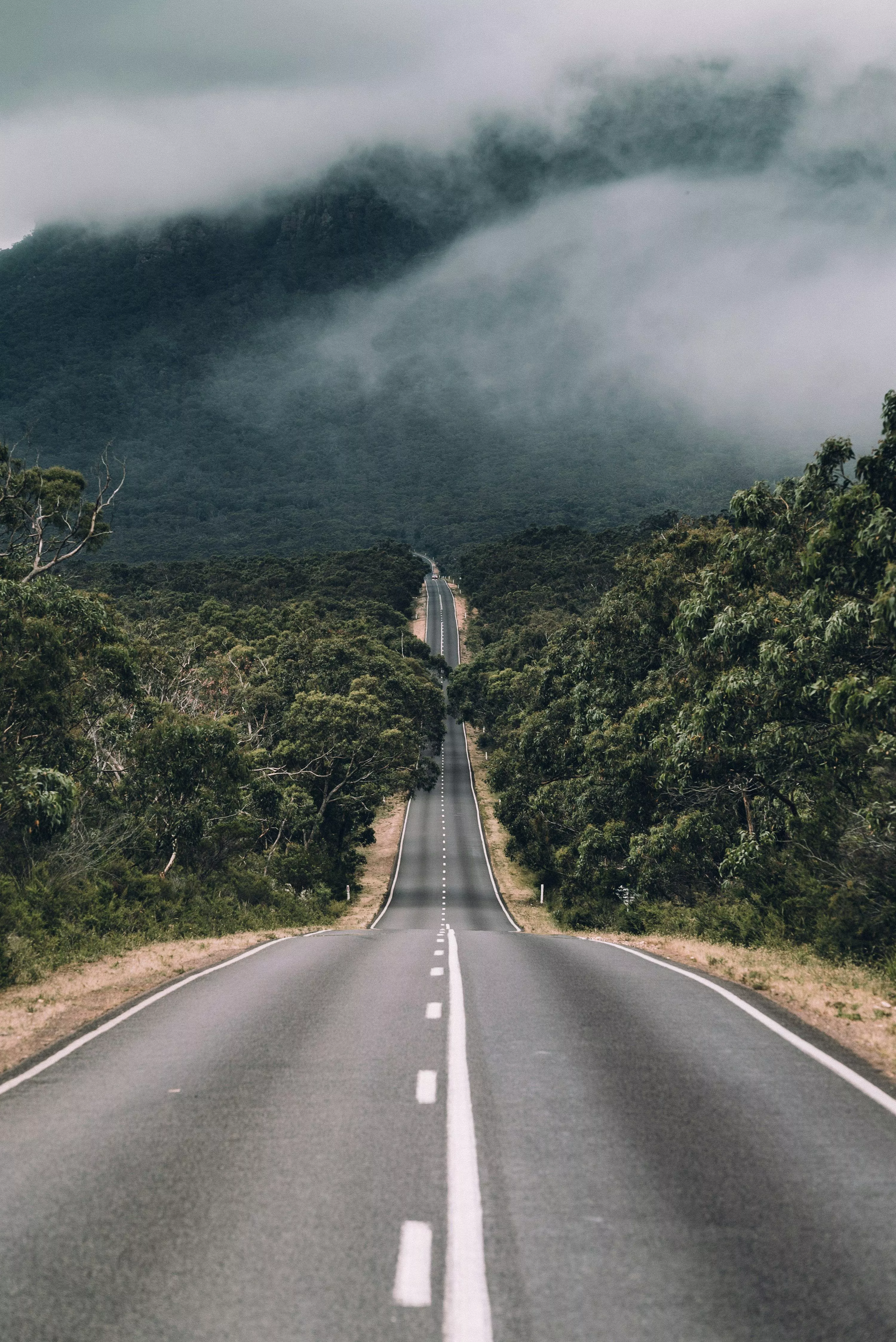 Nature Road Picture HD