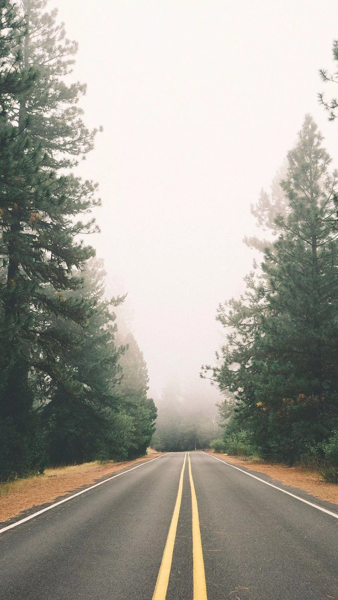 Fog iPhone Wallpaper Free Background