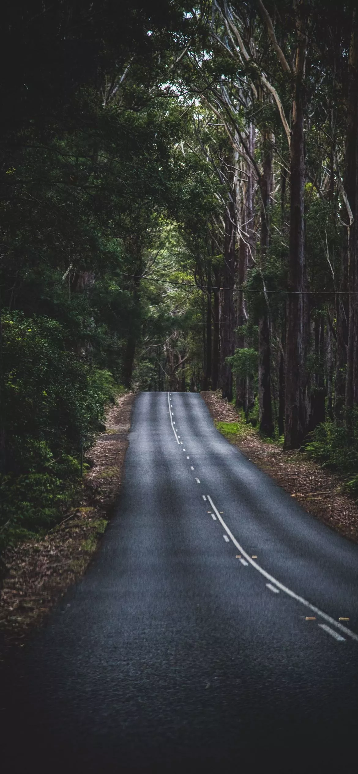 Long Mountain Road iPhone 12 Wallpaper