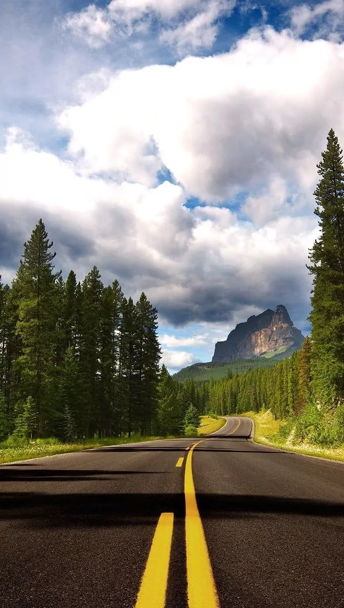 Road in a forest Wallpaper Full HD