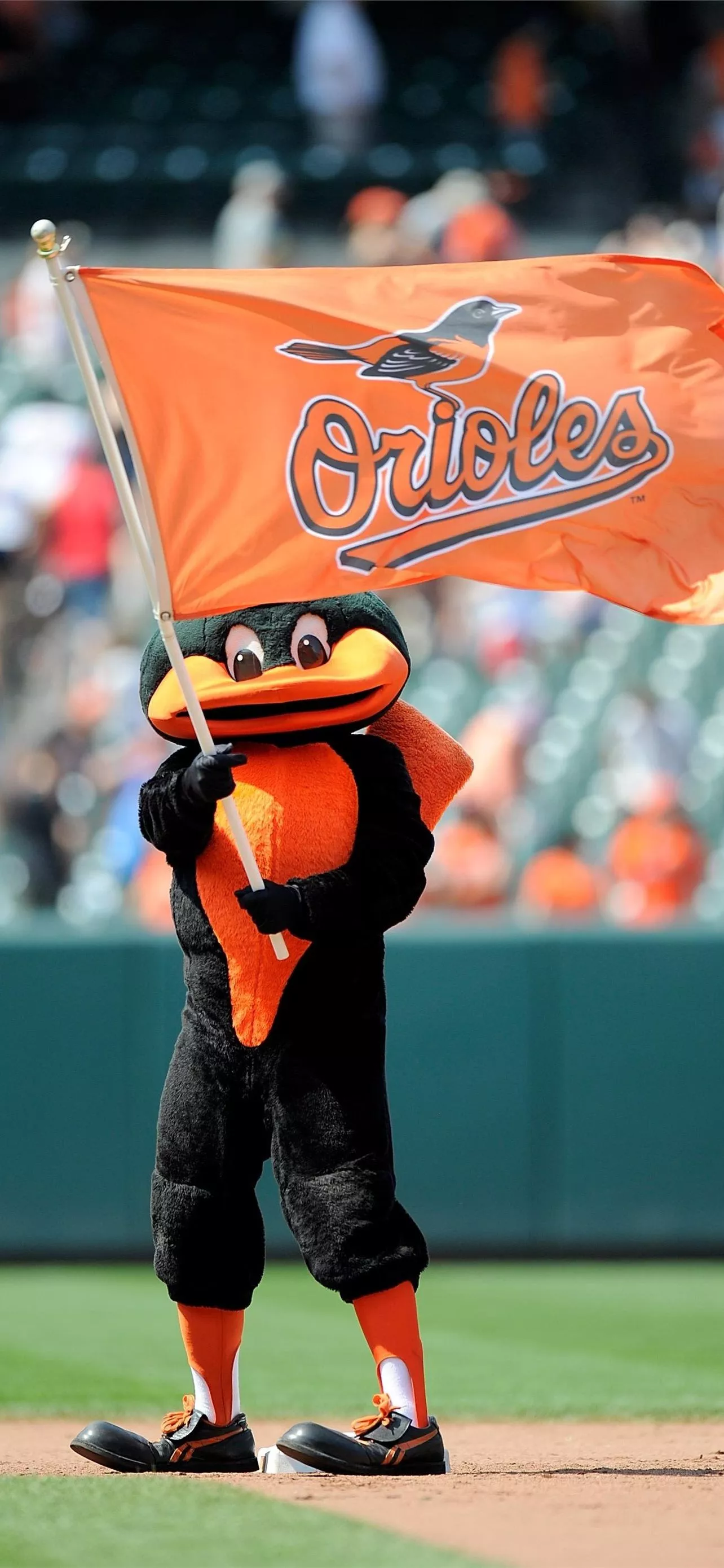 Baltimore Orioles Wallpaper