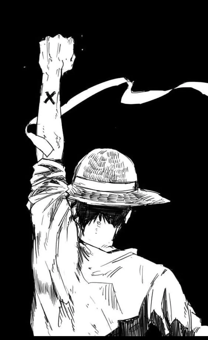 Luffy NAKAMA, anime, one piece, HD