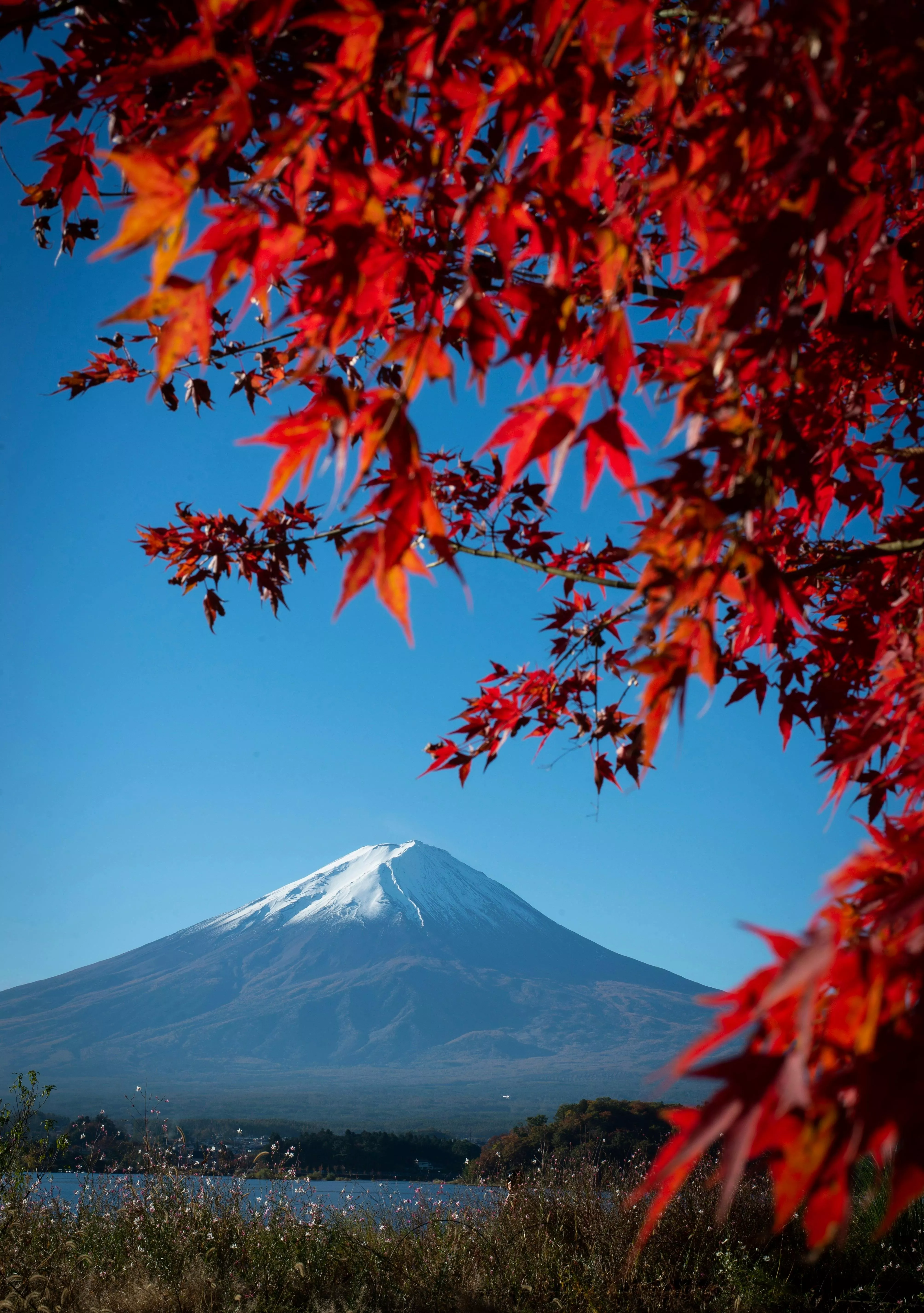 Mt Fuji Photo, Download The BEST Free