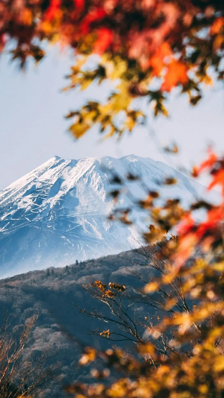Beautiful Image Of Snow Capped Mount Fuji