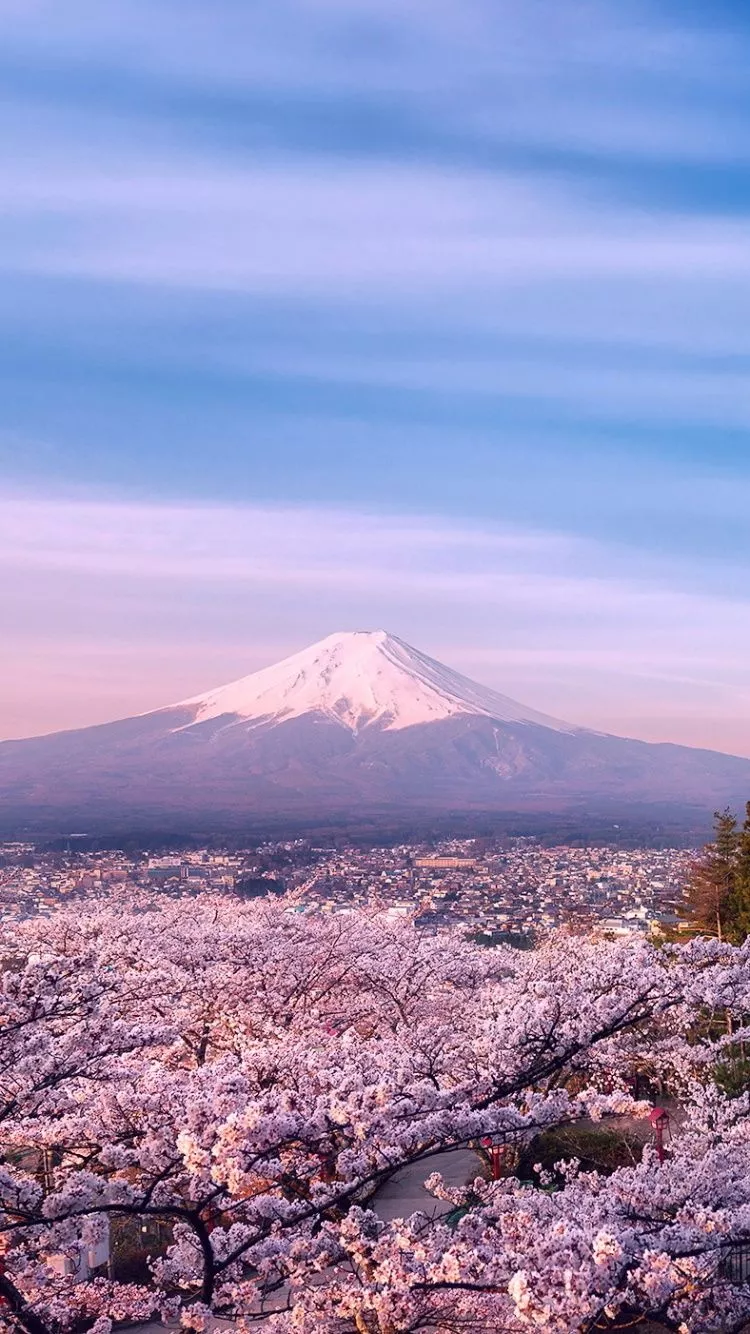 Mount Fuji phone wallpaper HD Wallpaper