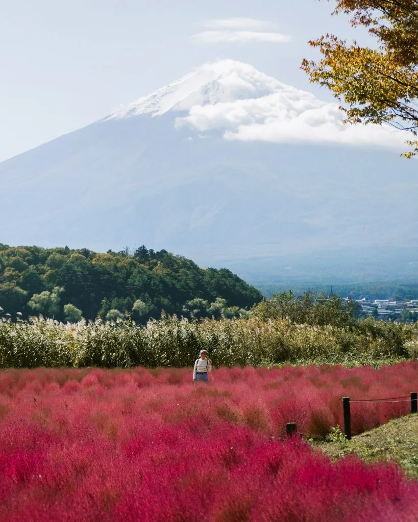 photo locations of Mount Fuji