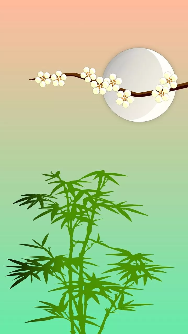 Phone Wallpaper HD Wallpaper