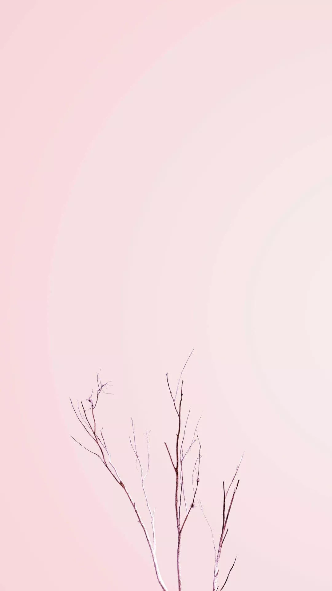 Pastel iPhone Pink Bare Plant Wallpaper