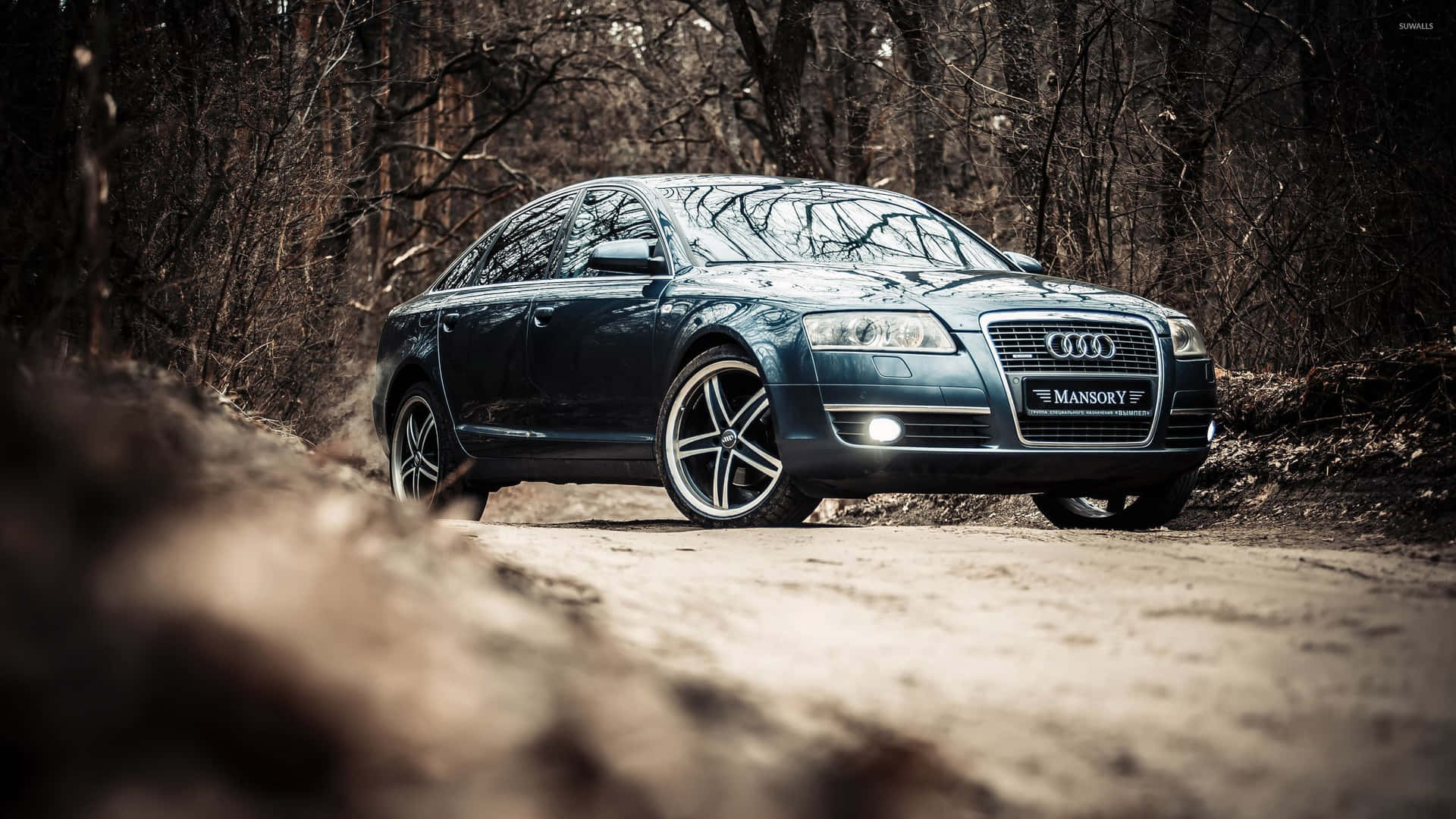 Download Luxurious Audi S6